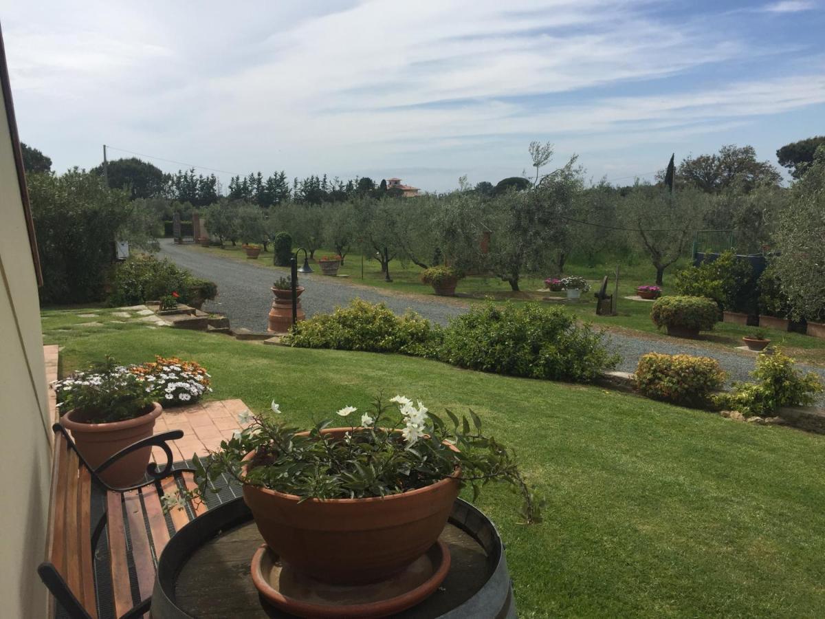 Le Macine Villa Cecina  Dış mekan fotoğraf