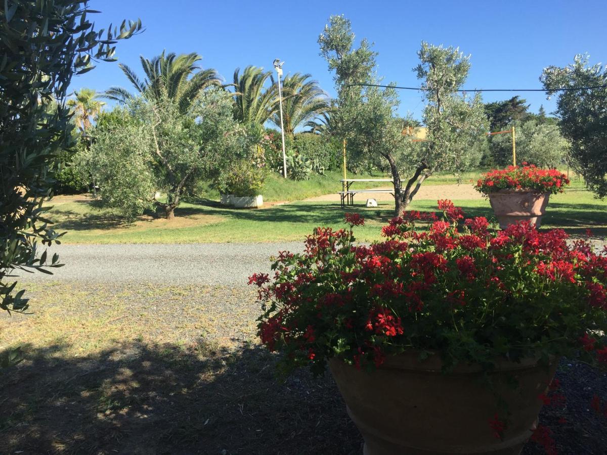 Le Macine Villa Cecina  Dış mekan fotoğraf